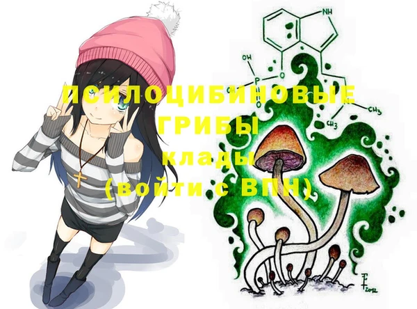 хмурый Арсеньев