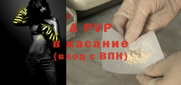 хмурый Арсеньев