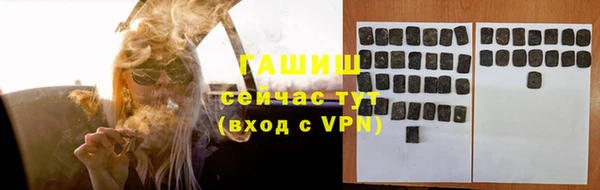 хмурый Арсеньев