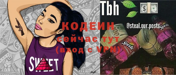 хмурый Арсеньев