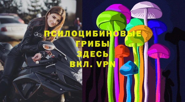 гидра Армянск