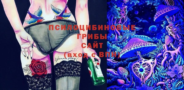 гидра Армянск