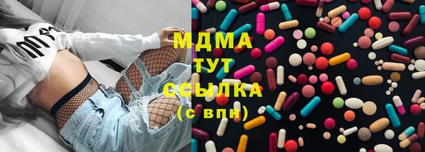 хмурый Арсеньев