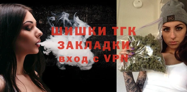 хмурый Арсеньев