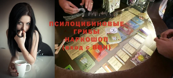 хмурый Арсеньев
