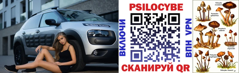 Псилоцибиновые грибы Psilocybine cubensis кракен ONION Тюкалинск